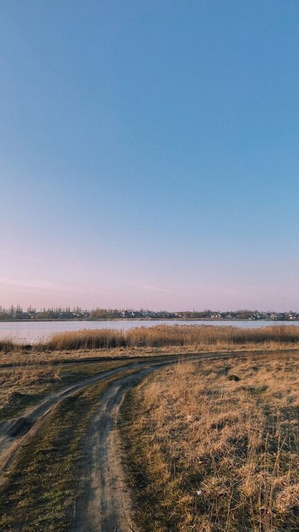 resized_41_api